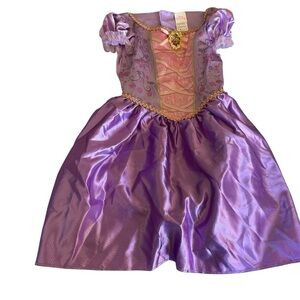 Disney Purple and Gold Princess Halloween Costume